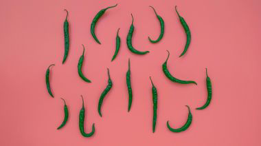 garnishing-instructions-image